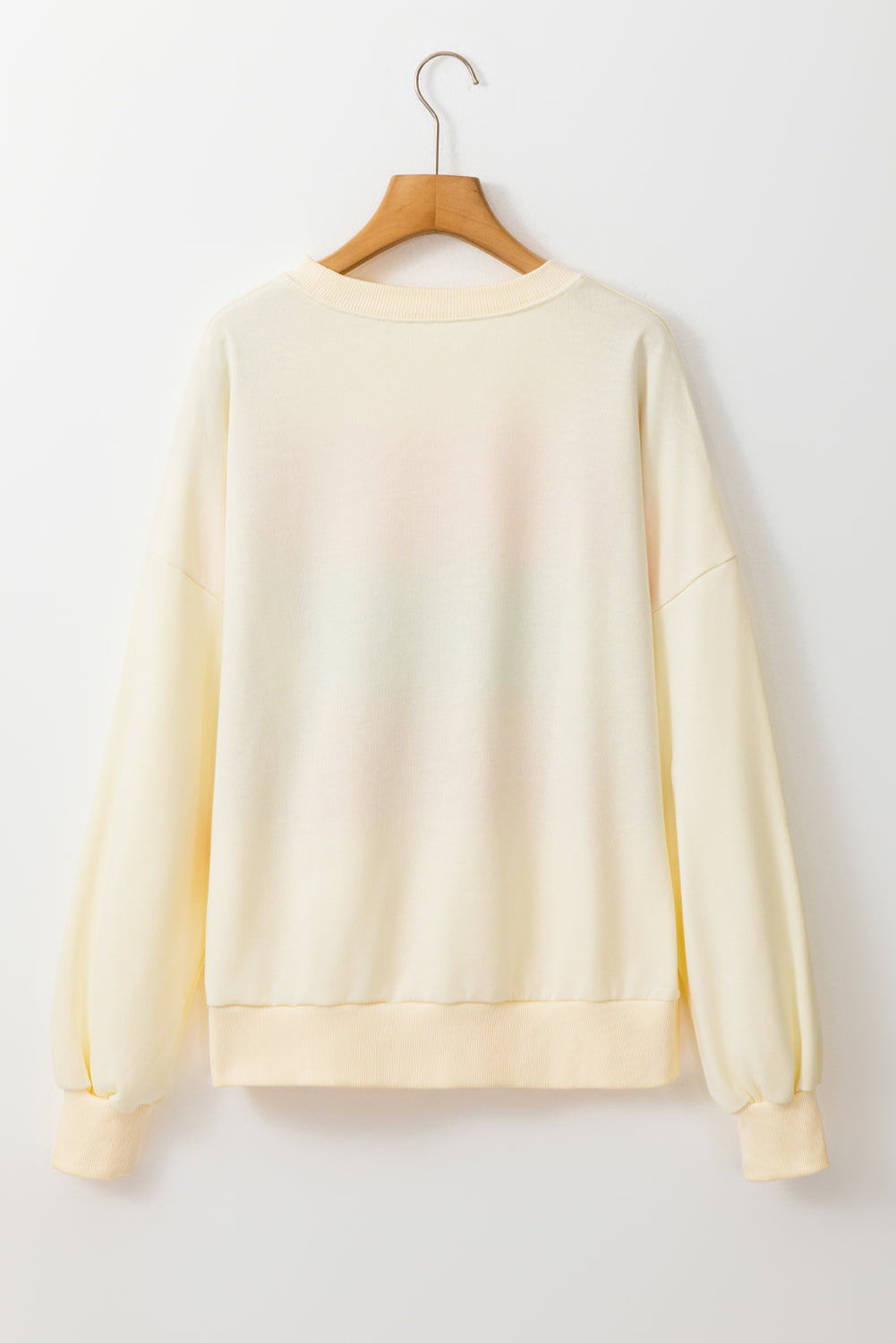 Witte Colorblock Patchwork Crewneck Drop Shoulder Sweatshirt