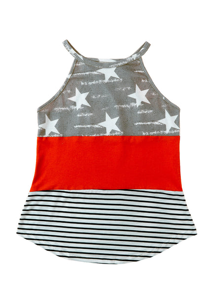 Multicolor American Flag Color Block Sleeveless Top