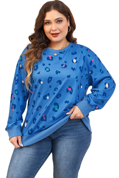 Hemelsblauwe plus-size luipaard geribbelde rand drop shoulder pullover sweatshirt