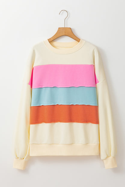 Witte Colorblock Patchwork Crewneck Drop Shoulder Sweatshirt