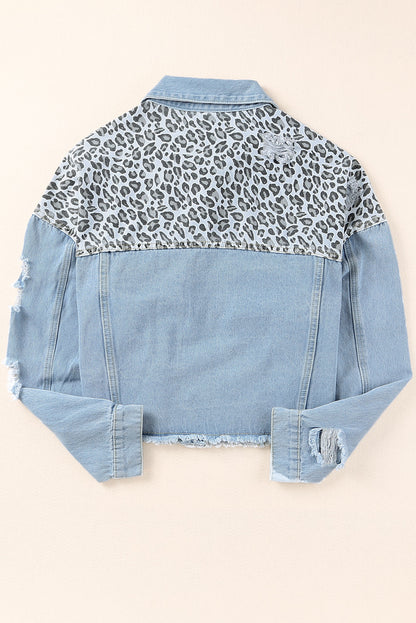 Blauw plus size gescheurd cropped denim jack met luipaardprint